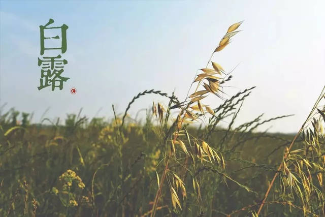 熊猫体育首页|何炅白敬亭齐聚破案 网友神P图成村委会现场毫无违和感(图3) 熊猫体育首页