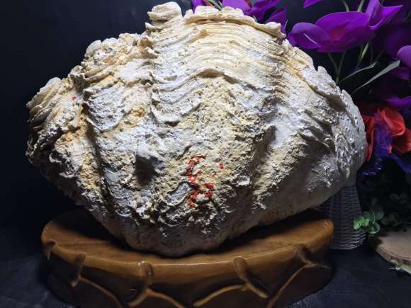 如果爱第四季回归升级 刘宪华陈都灵搞怪软萌cp加盟‘熊猫体育’(图2) 熊猫体育首页