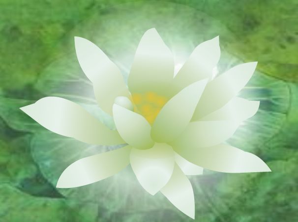 【熊猫体育】信中国韩雪读感人家书 深情演绎思念之情(图2) 熊猫体育公司