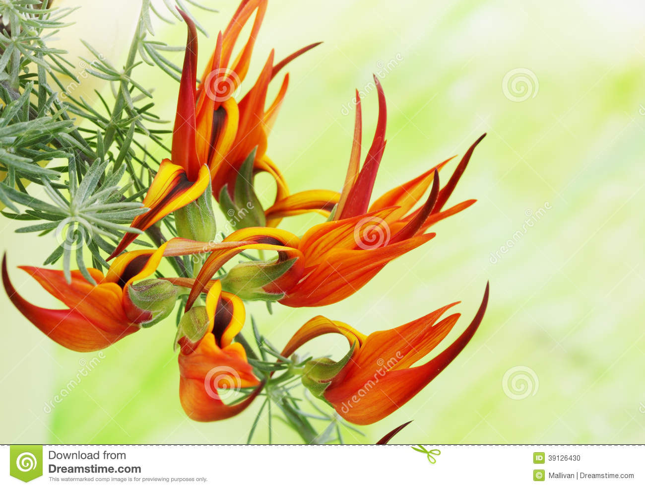 【熊猫体育公司】王宝强“因祸得福”:想不到马蓉也会有如此下场(图1) 熊猫体育