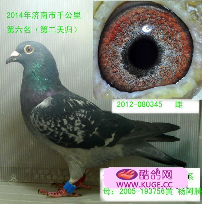 熊猫体育_智利女警被示威者燃烧瓶击中全身着火表情痛苦(图)(图3) 熊猫体育公司