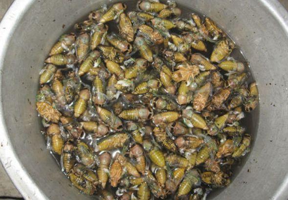 《末班车后,在胶囊旅馆向上司传递微热的夜晚》剧情介绍‘熊猫体育公司’(图1) 熊猫体育公司