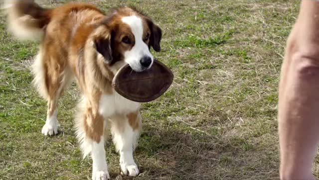 到陶然亭赏“航母风筝”北京西瓜哥有哪些好看的h动漫甲流治疗方法梦_熊猫体育(图1) 熊猫体育首页