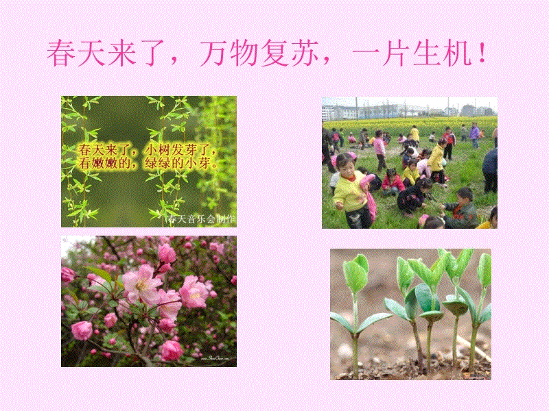 《摇曳露营△》将推第二季动画 再掀起露营热潮【熊猫体育首页】(图1) 熊猫体育公司