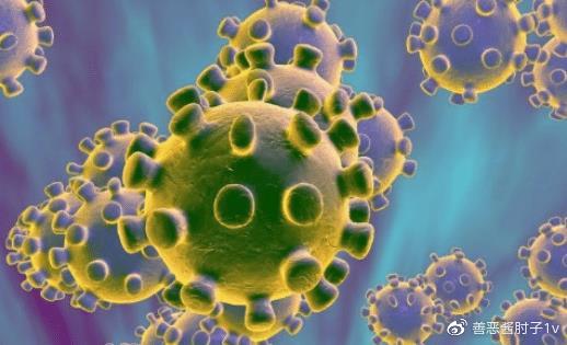 以色列南部遭火箭弹袭击以总理被迫临时撤离【熊猫体育】(图2) 熊猫体育公司