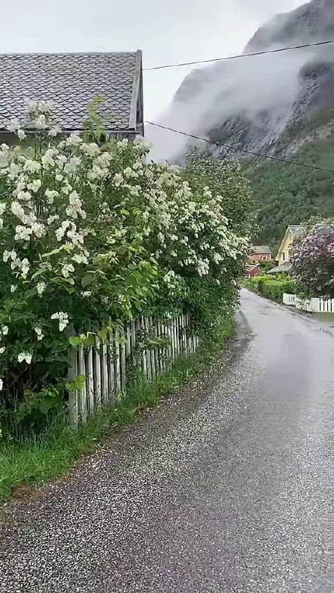 中美俄研六代机印度却反过来抄袭歼10浪费40年时间-熊猫体育(图2) 熊猫体育首页