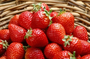 ‘熊猫体育公司’俄军用飞机抵达委内瑞拉,美威胁不会袖手旁观(图1) 熊猫体育