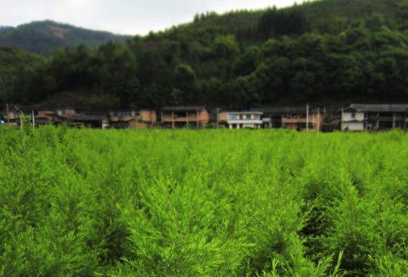 ‘熊猫体育’美国连弹道导弹都要用3D打印生产了造得快穿甲更强(图1) 熊猫体育公司