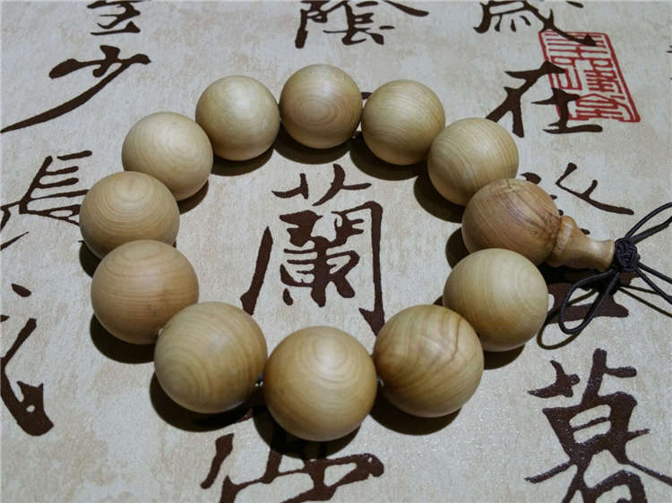 地区局势升级,德国、荷兰暂停在伊拉克的军事训练行动双飞是什么意:熊猫体育首页(图1) 熊猫体育