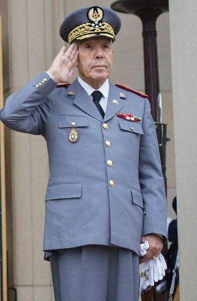 熊猫体育首页-
非洲沿海国家军力20多万 元帅军衔授予国王 军队总监只是中将(图13)