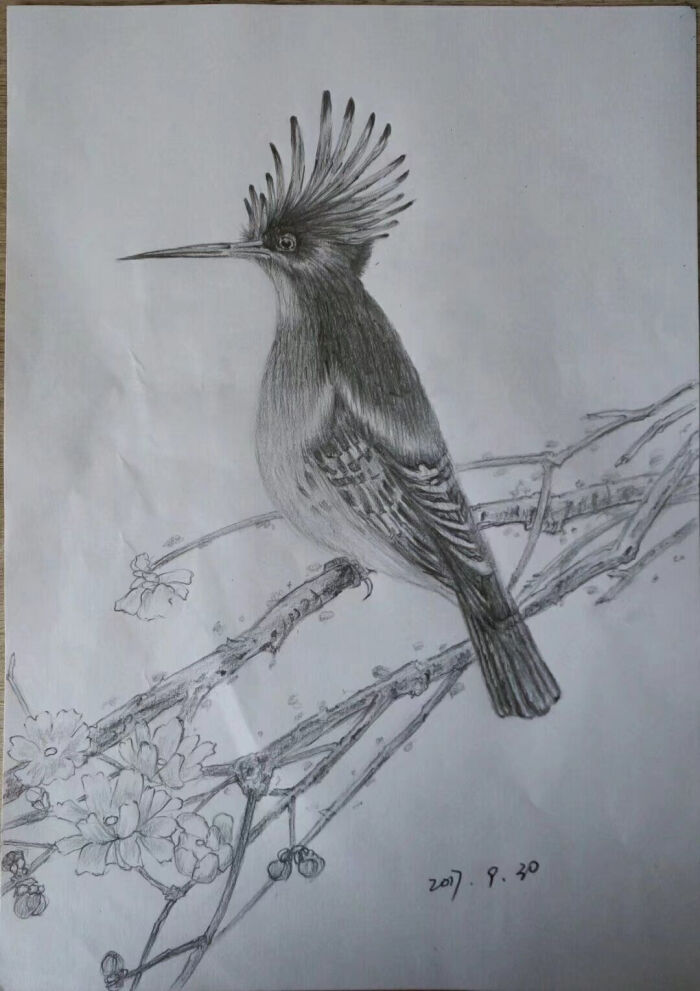 熊猫体育|最受期待的2017年4月新番动漫 人气续作强势来袭(图4) 熊猫体育首页