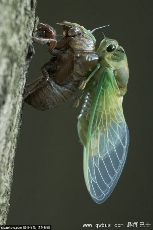 悬赏2000元现金!腾讯恋爱节目《心动的信号》招募素人嘉宾啦【熊猫体育公司】(图2) 熊猫体育首页