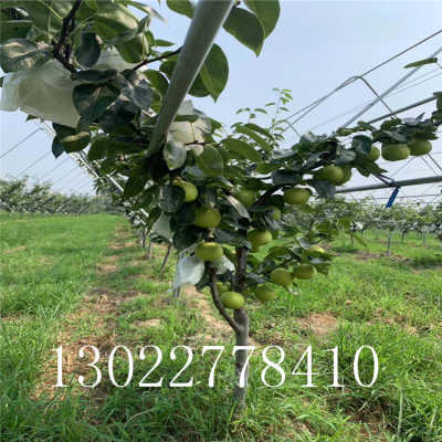 熊猫体育公司:
盘货2020年娱乐圈中的“猪队友” 沈梦辰拔得头筹整垮一个台(图2) 熊猫体育