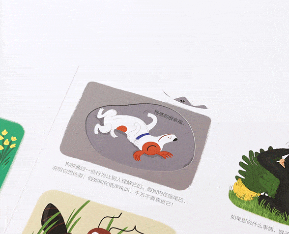 儿童百科全书那么多 为什么我只推荐这三套‘熊猫体育公司’(图18) 儿童百科全书那么多 为什么我只推荐这三套‘熊猫体育公司’(图18)