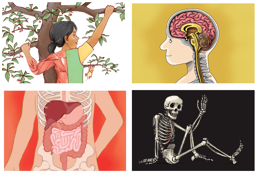 儿童百科全书那么多 为什么我只推荐这三套‘熊猫体育公司’(图26) 儿童百科全书那么多 为什么我只推荐这三套‘熊猫体育公司’(图26)