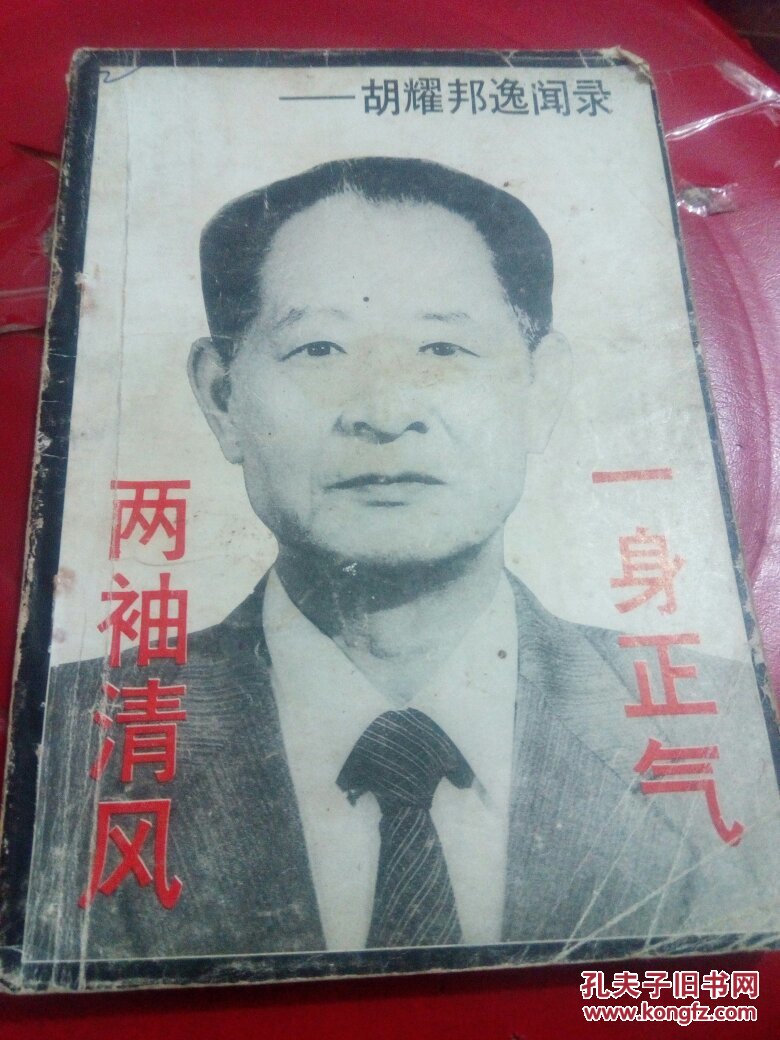 熊猫体育公司