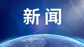 熊猫体育公司